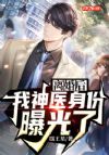离婚后,我神医身份曝光了