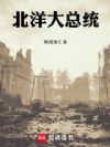 北洋大总统