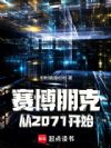 赛博朋克:从2071开始